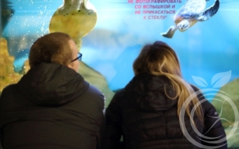 севастопольский аквариум
