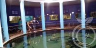 Севастопольский аквариум и лечение наркомании в Крыму